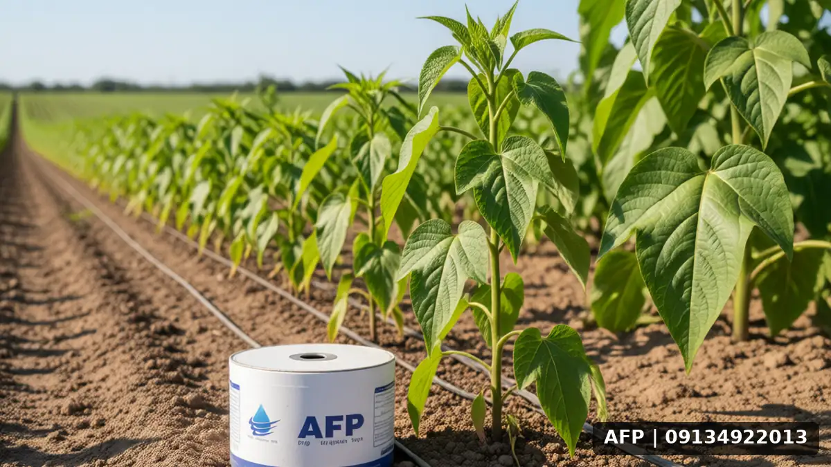 Drip Irrigation in Soybean Cultivation: Comprehensive Cost and Benefit Analysis in the Field 1 آبیاری قطرهای در کشت سویا: هزینه در مزرعه – تصویر 1