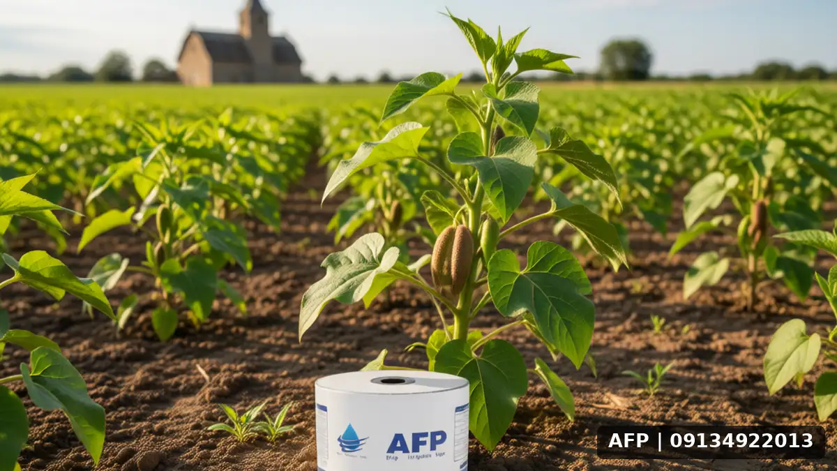 Drip Irrigation in Soybean Cultivation: Comprehensive Cost and Benefit Analysis in the Field 3 آبیاری قطرهای در کشت سویا: هزینه در مزرعه - تصویر 2