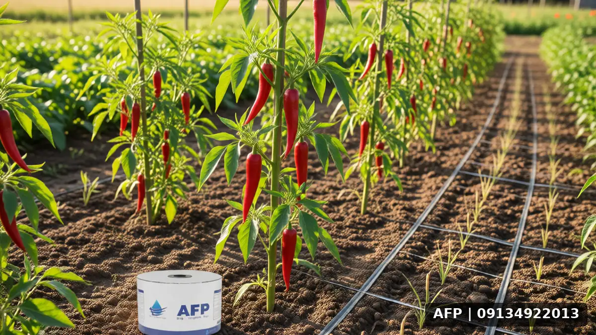 Pepper Seed Quantity per Hectare: A Comprehensive Guide 3 مقدار بذر پاپریکا در هکتار: راهنمای جامع - تصویر 2