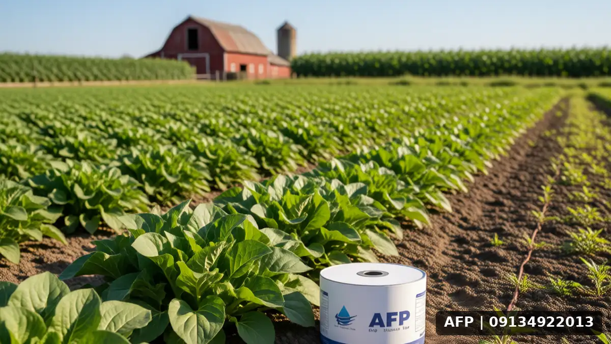 Spinach Yield per Hectare with Drip Tapes: A Comprehensive Guide to Maximizing Production 1 میزان برداشت اسفناج در هکتار با نوار تیپ – تصویر 1