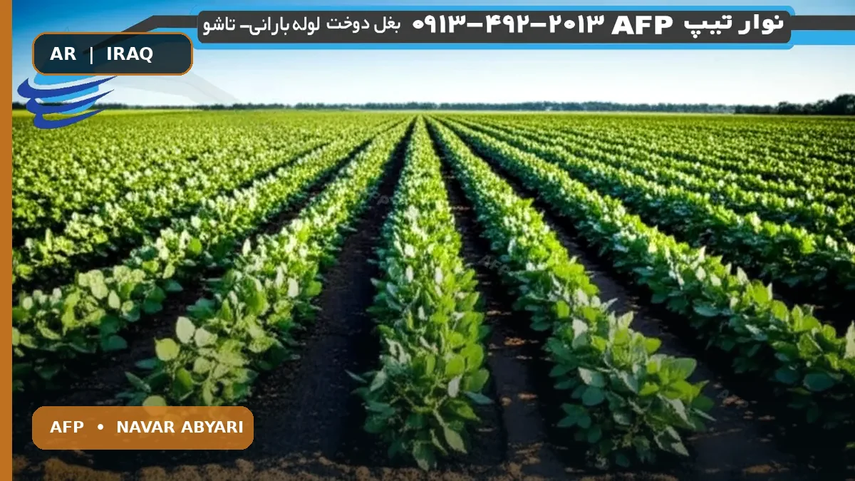 كمية بذور فول الصويا لكل هكتار + العوامل المؤثرة 1 كمية بذور فول الصويا لكل هكتار + العوامل المؤثرة