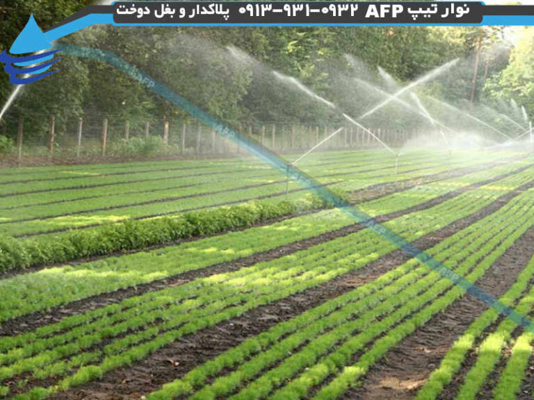 آبیاری بارانی
