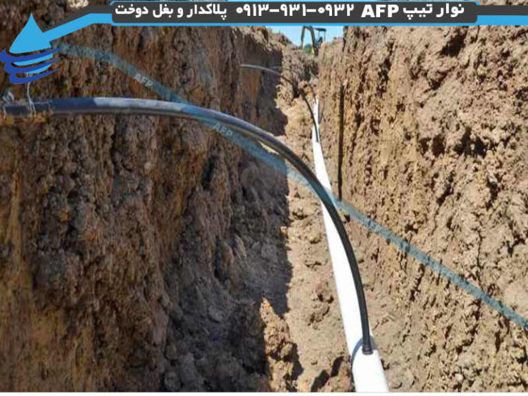 آبیاری زیر سطحی گیاهان