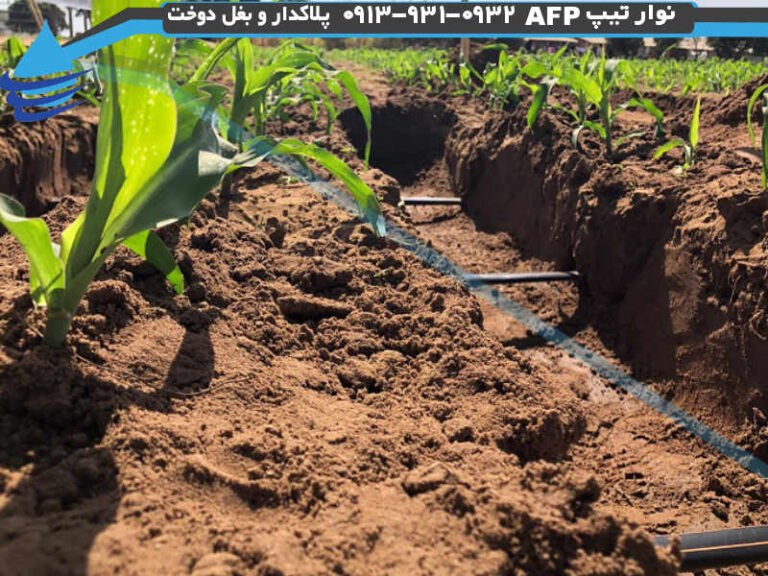 آبیاری زیرسطحی