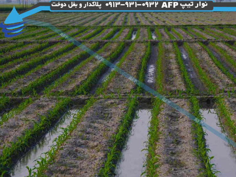 آبیاری مستقیم