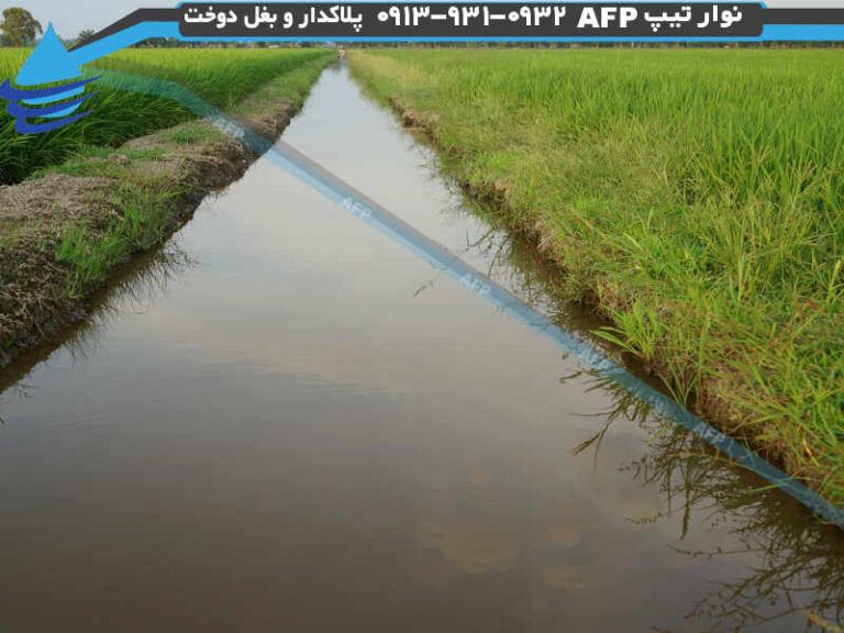 آبیاری گرهای
