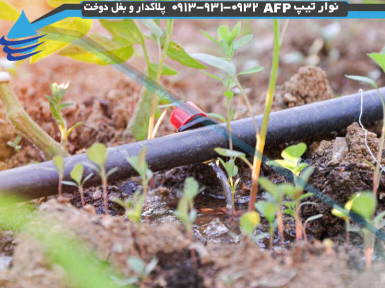 انواع نوار تیپ