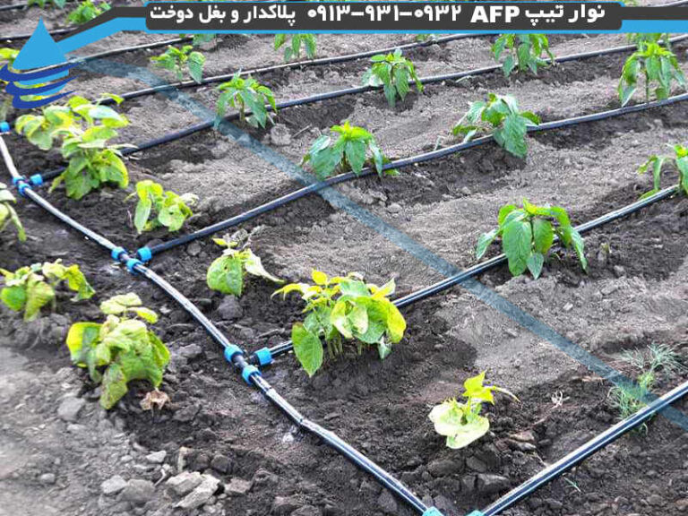 بازرسی زمین برای نوار تیپ
