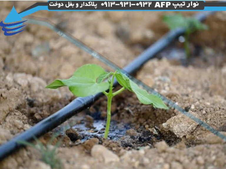 نوار آبیاری قطره ای
